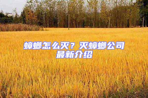 蟑螂怎么滅?滅蟑螂公司最新介紹