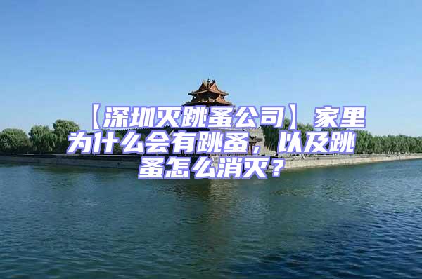 【深圳滅跳蚤公司】家里為什么會有跳蚤,以及跳蚤怎么消滅?