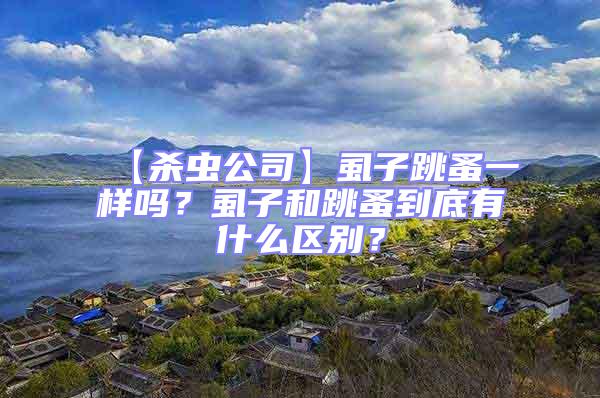 【殺蟲公司】虱子跳蚤一樣嗎?虱子和跳蚤到底有什么區(qū)別?