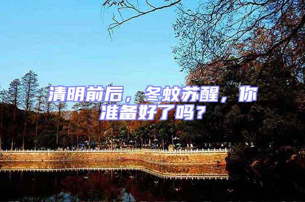 清明前后,冬蚊蘇醒,你準備好了嗎?