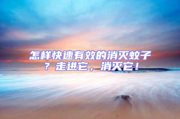 怎樣快速有效的消滅蚊子？走進它，消滅它！