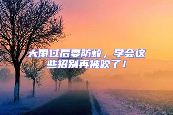 大雨過后要防蚊,學會這些招別再被咬了!