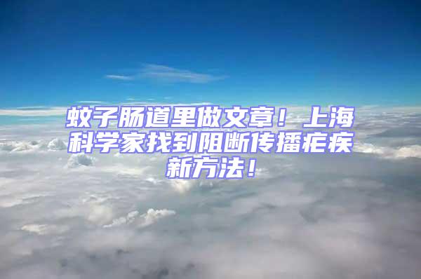 蚊子腸道里做文章!上海科學家找到阻斷傳播瘧疾新方法!