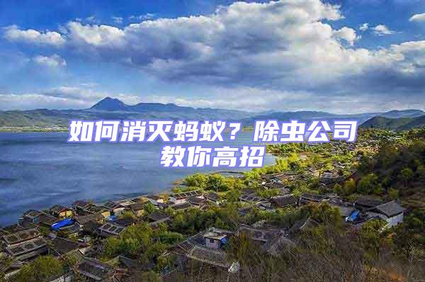 如何消滅螞蟻?除蟲(chóng)公司教你高招