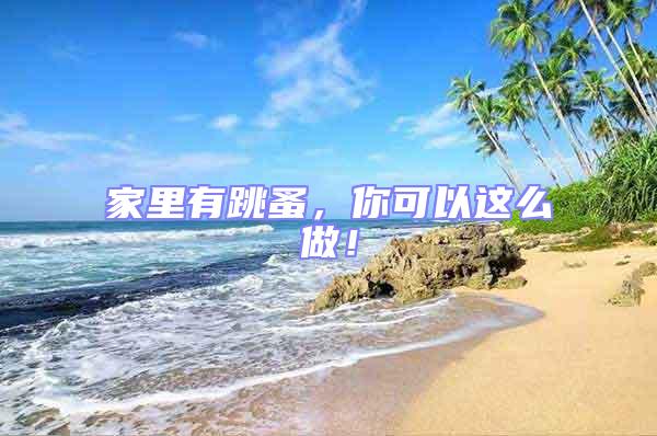 家里有跳蚤,你可以這么做!