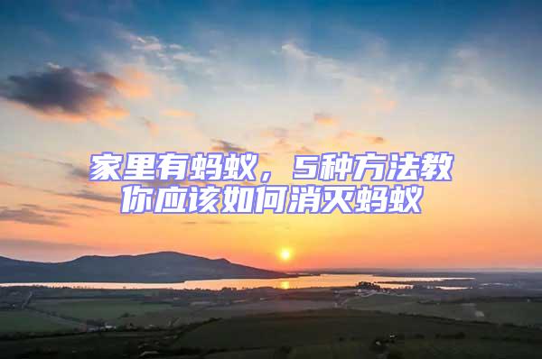 家里有螞蟻,5種方法教你應該如何消滅螞蟻