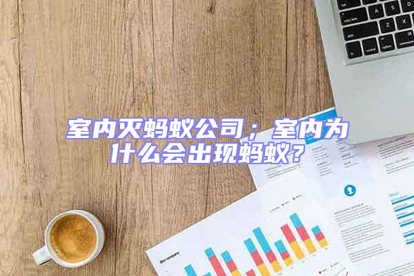 室內滅螞蟻公司；室內為什么會出現螞蟻？