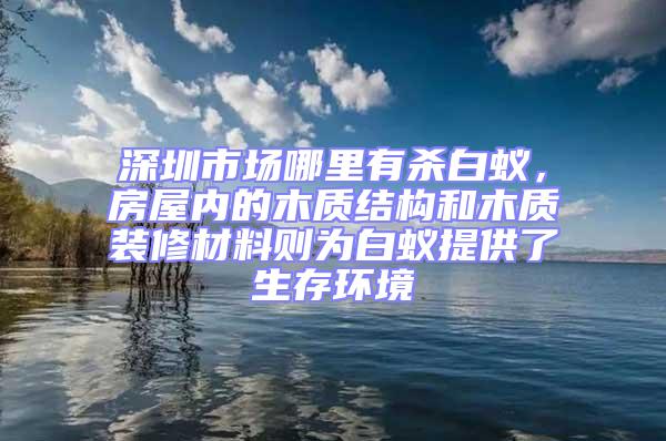 深圳市場哪里有殺白蟻,房屋內的木質結構和木質裝修材料則為白蟻提供了生存環境