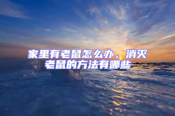 家里有老鼠怎么辦,消滅老鼠的方法有哪些
