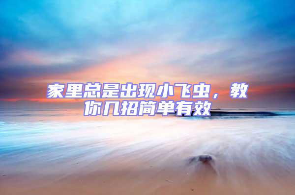 家里總是出現小飛蟲,教你幾招簡單有效