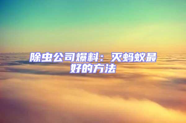 除蟲公司爆料:滅螞蟻最好的方法
