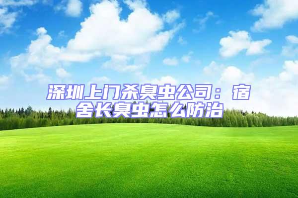 深圳上門殺臭蟲公司:宿舍長臭蟲怎么防治