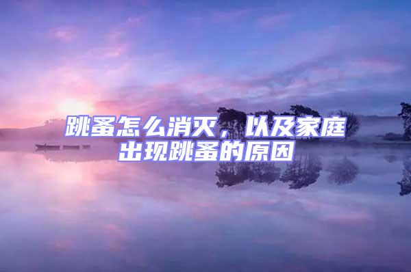 跳蚤怎么消滅,以及家庭出現(xiàn)跳蚤的原因