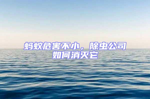 螞蟻危害不小,除蟲公司如何消滅它