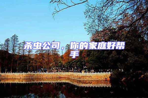 殺蟲公司，你的家庭好幫手