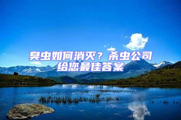 臭蟲如何消滅？殺蟲公司給您最佳答案
