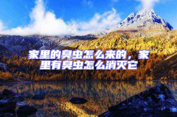 家里的臭蟲怎么來的，家里有臭蟲怎么消滅它
