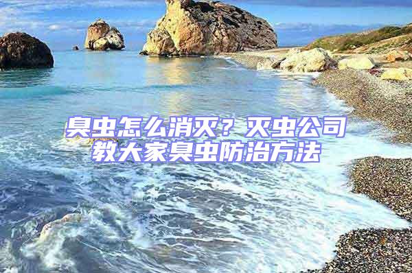 臭蟲怎么消滅?滅蟲公司教大家臭蟲防治方法
