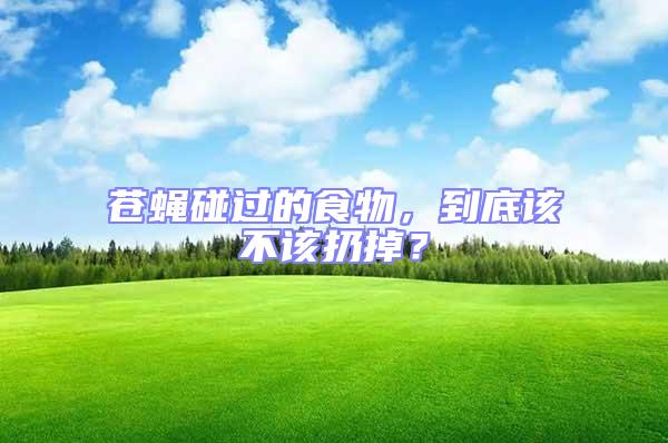 蒼蠅碰過的食物,到底該不該扔掉?