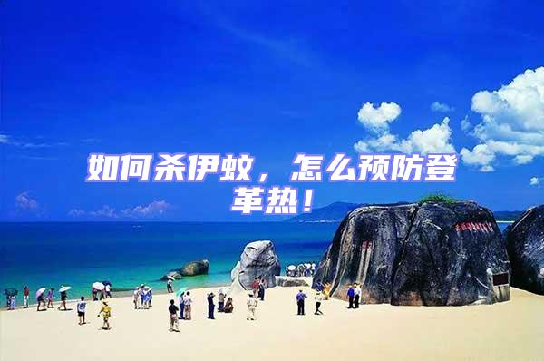 如何殺伊蚊,怎么預防登革熱!