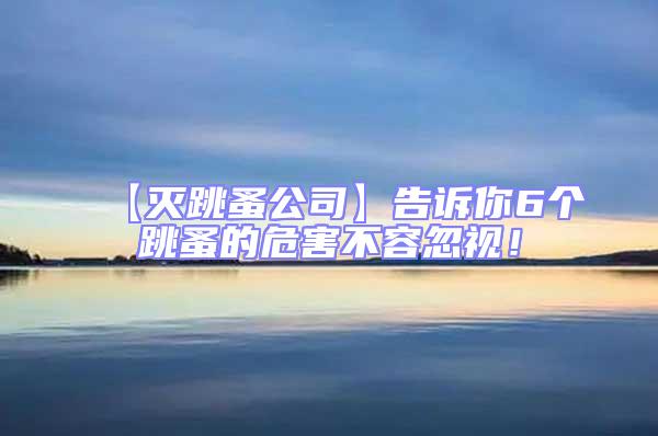 【滅跳蚤公司】告訴你6個跳蚤的危害不容忽視！