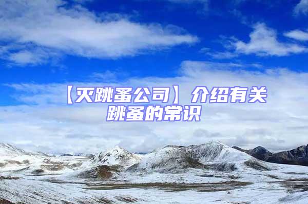 【滅跳蚤公司】介紹有關(guān)跳蚤的常識(shí)