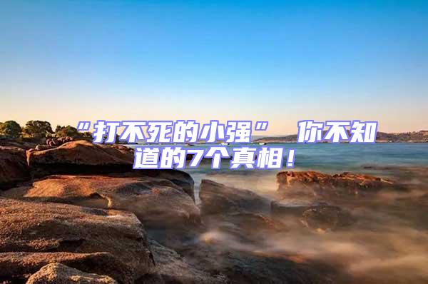 “打不死的小強(qiáng)” 你不知道的7個(gè)真相!
