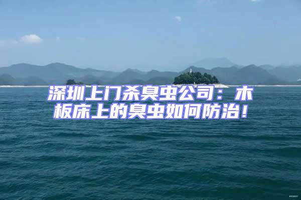 深圳上門殺臭蟲公司:木板床上的臭蟲如何防治!