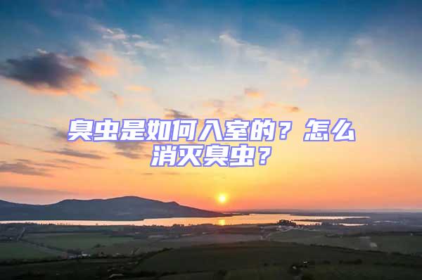 臭蟲(chóng)是如何入室的？怎么消滅臭蟲(chóng)？