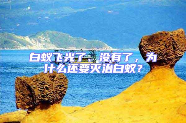 白蟻飛光了、沒有了，為什么還要滅治白蟻？