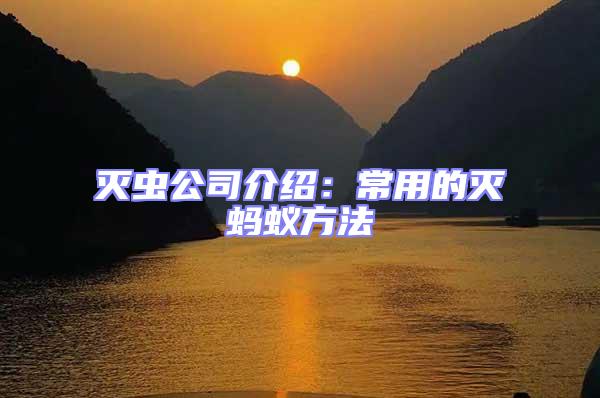 滅蟲公司介紹:常用的滅螞蟻方法