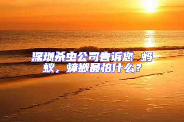 深圳殺蟲公司告訴您 螞蟻,蟑螂最怕什么?