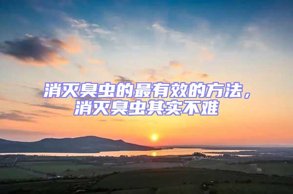 消滅臭蟲的最有效的方法,消滅臭蟲其實不難