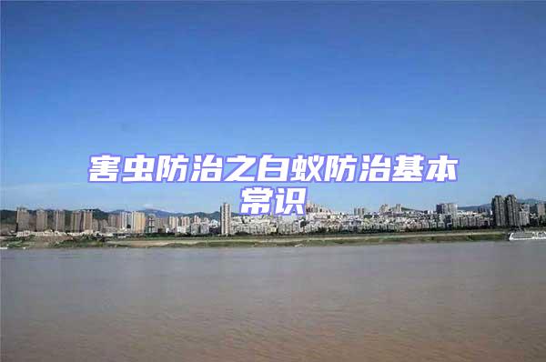 害蟲防治之白蟻防治基本常識(shí)