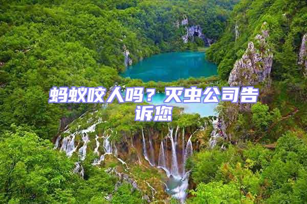 螞蟻咬人嗎?滅蟲公司告訴您