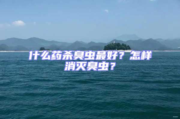 什么藥殺臭蟲最好？怎樣消滅臭蟲？