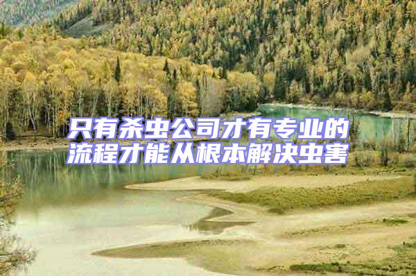 只有殺蟲公司才有專業的流程才能從根本解決蟲害