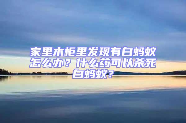 家里木柜里發(fā)現(xiàn)有白螞蟻怎么辦?什么藥可以殺死白螞蟻?