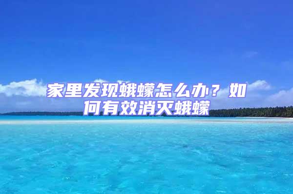 家里發(fā)現(xiàn)蛾蠓怎么辦？如何有效消滅蛾蠓