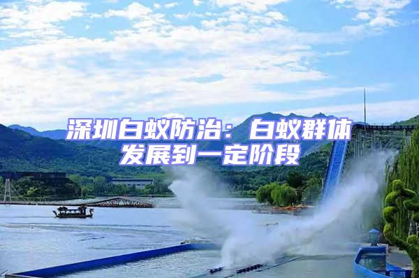 深圳白蟻防治:白蟻群體發(fā)展到一定階段