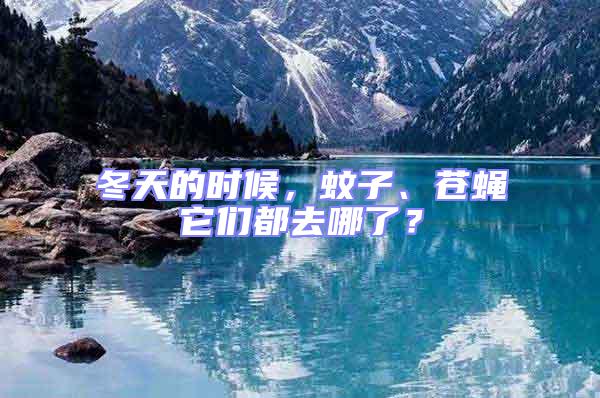 冬天的時候,蚊子、蒼蠅它們都去哪了?