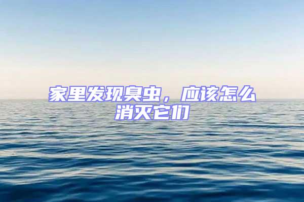 家里發(fā)現(xiàn)臭蟲,應(yīng)該怎么消滅它們