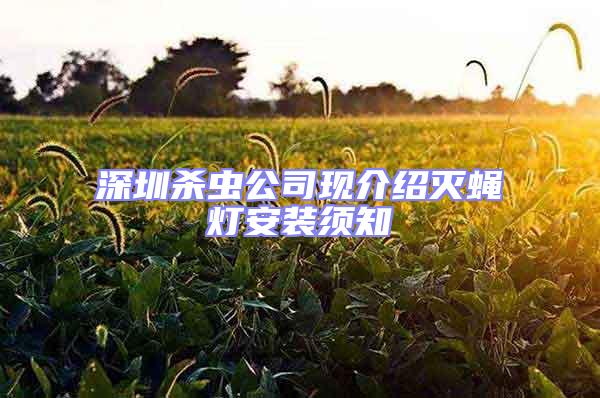 深圳殺蟲公司現(xiàn)介紹滅蠅燈安裝須知
