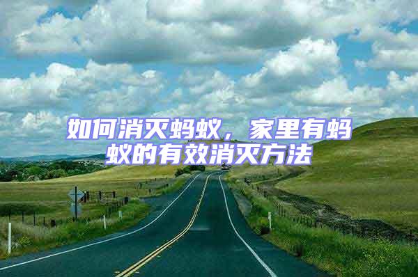 如何消滅螞蟻,家里有螞蟻的有效消滅方法