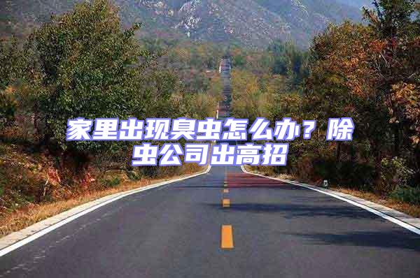家里出現(xiàn)臭蟲怎么辦?除蟲公司出高招