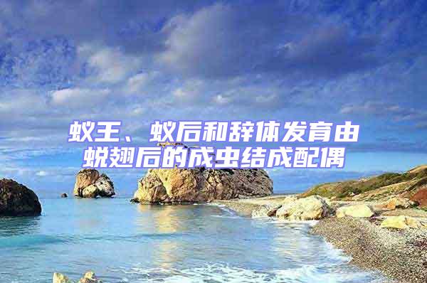 蟻王、蟻后和辭體發(fā)育由蛻翅后的成蟲結(jié)成配偶
