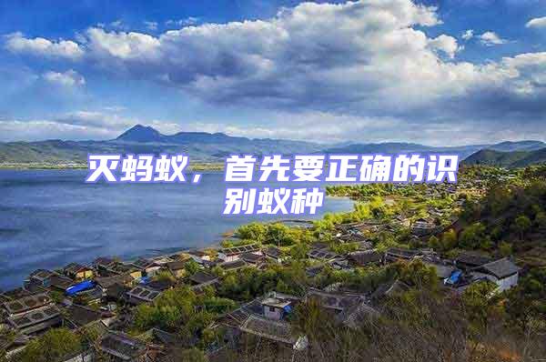 滅螞蟻,首先要正確的識別蟻種