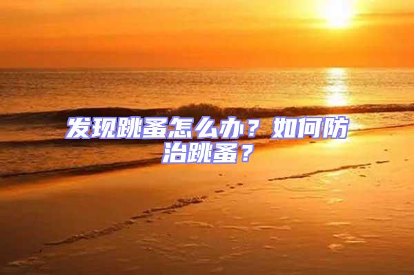 發現跳蚤怎么辦?如何防治跳蚤?