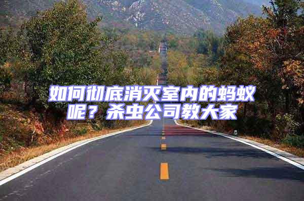 如何徹底消滅室內的螞蟻呢?殺蟲公司教大家