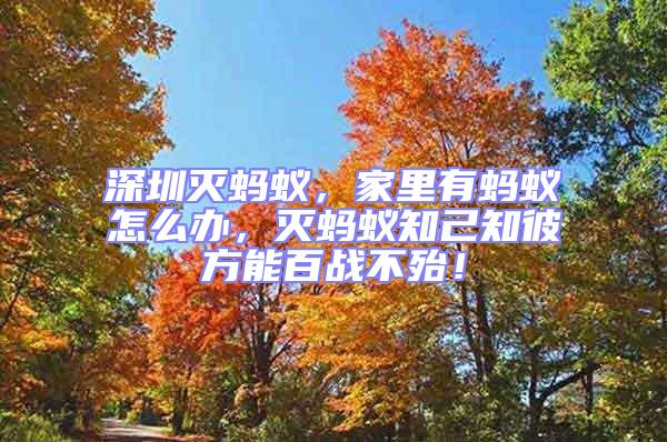 深圳滅螞蟻,家里有螞蟻怎么辦,滅螞蟻知己知彼方能百戰(zhàn)不殆!